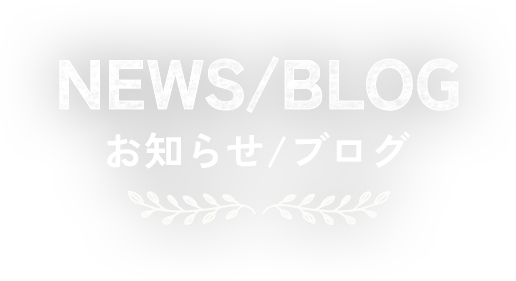  お知らせ/ブログ